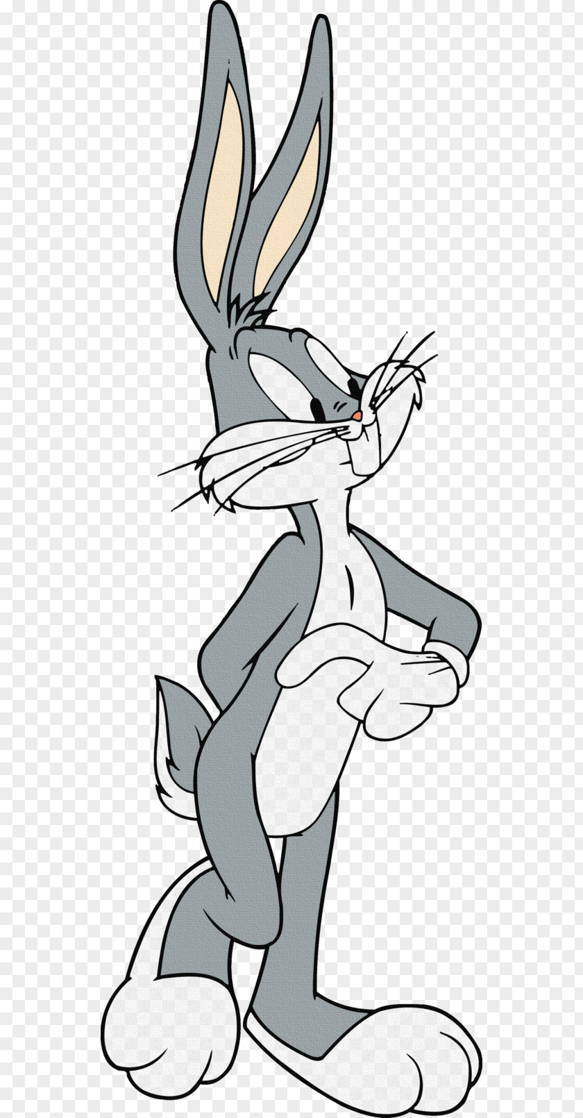 Bugs Bunny Daffy Duck Tweety Clip Art PNG