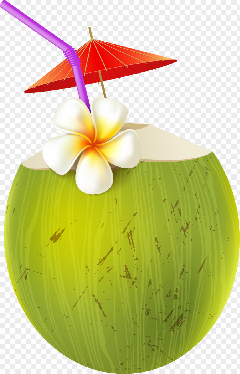 Cartoon Coconut Juice PNG coconut juice clipart PNG