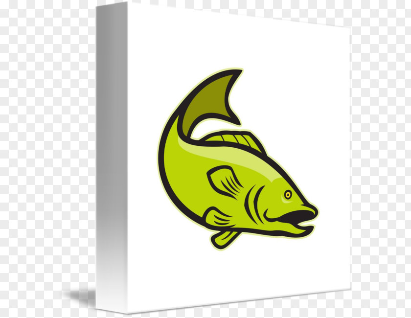Fish Jump Largemouth Bass PNG
