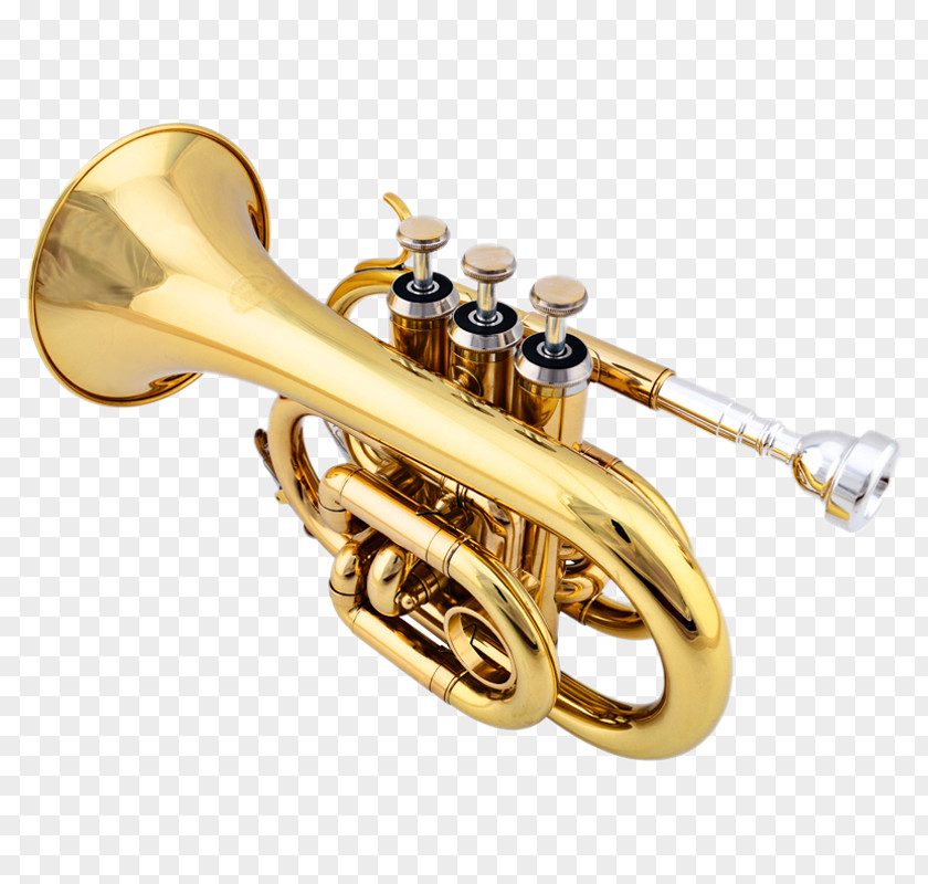 No. Trumpet B Flat Palm On The Back Of Tone Pocket Cornet Musical Instrument Brass PNG