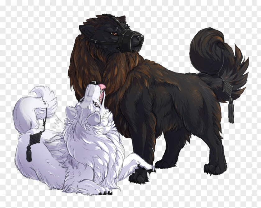 Shisa Dog Breed Newfoundland Sporting Group Snout PNG