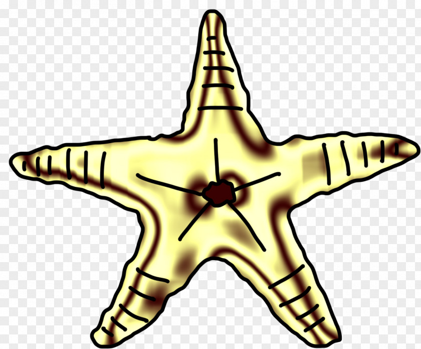 Starfish Drawing Clip Art PNG