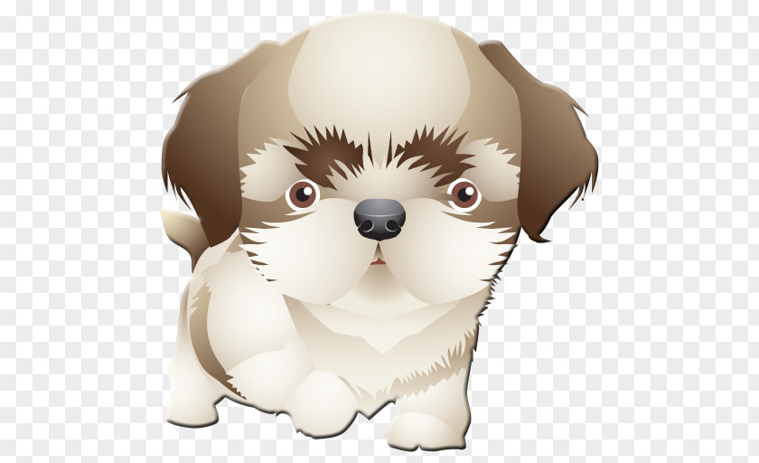 Tzu Puppy Dog Breed Shih Drawing Clip Art PNG