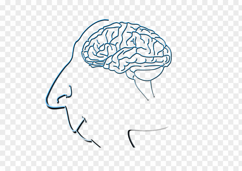 Brain Cartoon Image Silhouette PNG