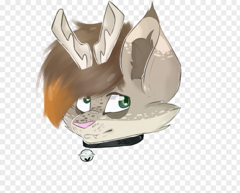 Cat Whiskers PNG