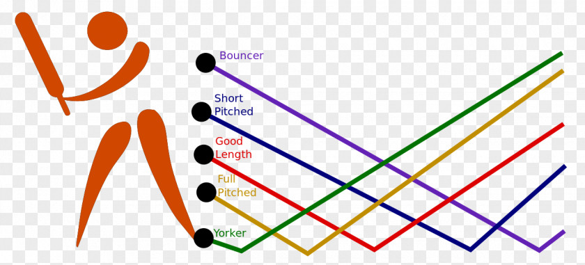 Cricket Bowling (cricket) Line And Length Fast Pitch PNG