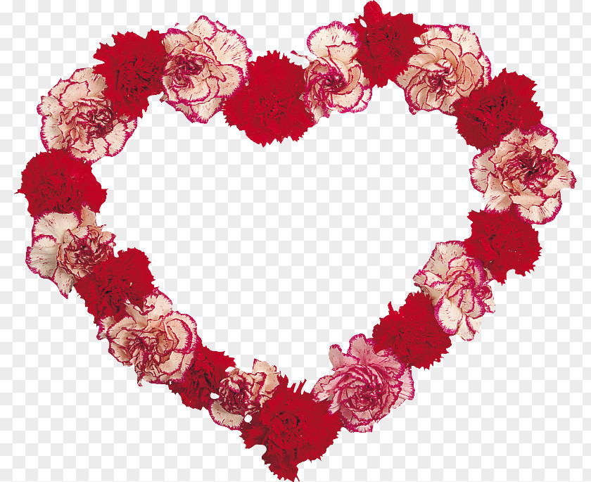 Flower Floral Design Carnation PNG