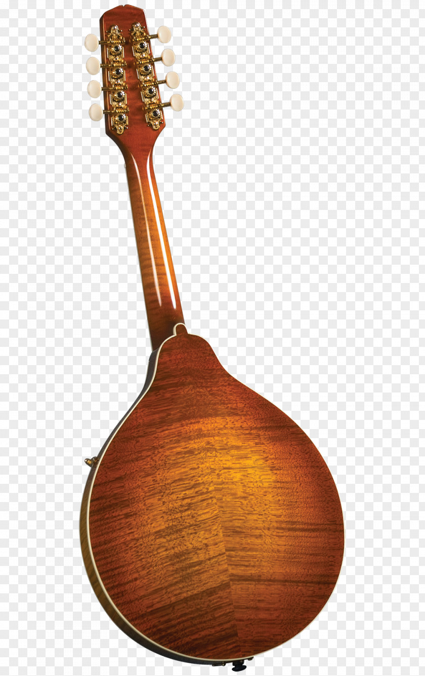 Musical Instruments Mandolin Sunburst Acoustic-electric Guitar Tiple PNG