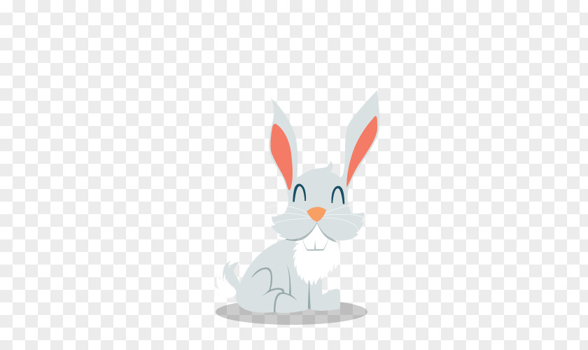 Rabbit Domestic Hare Easter Bunny Whiskers PNG