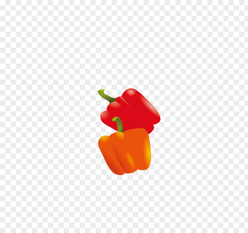 Shu Fresh Pepper Bell Chili Illustration PNG