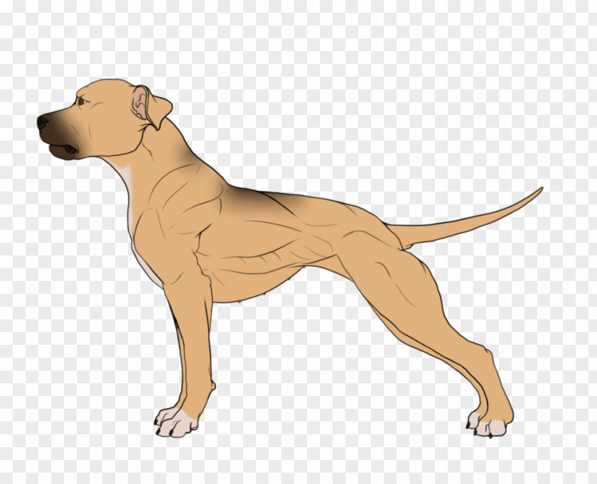 Wind Blow Dog Breed Non-sporting Group Leash Cartoon PNG