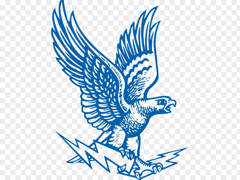 American Football Air Force Falcons United States Academy NCAA Division I Bowl Subdivision College PNG