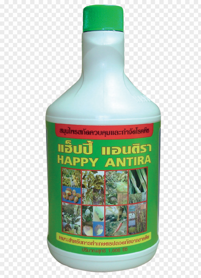 Areca Nut Happy MPM Herbal Extract Car Plant Pathology PNG