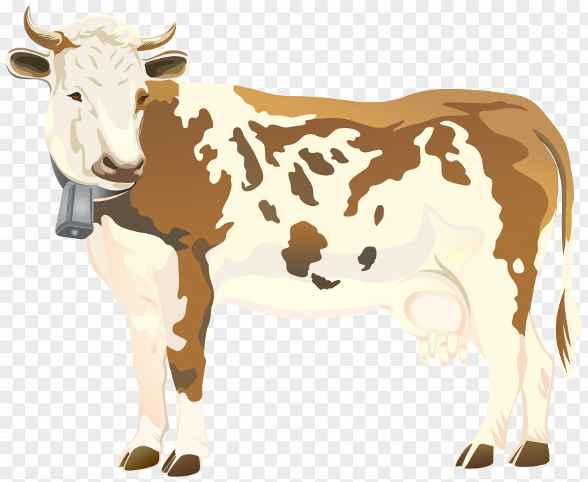Cow Clip Art Image Cattle PNG