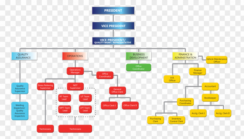 Organization Brand Line Diagram PNG