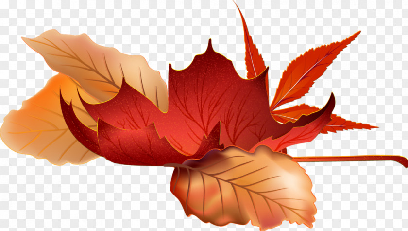 Autumn Image Season Graphics Design PNG