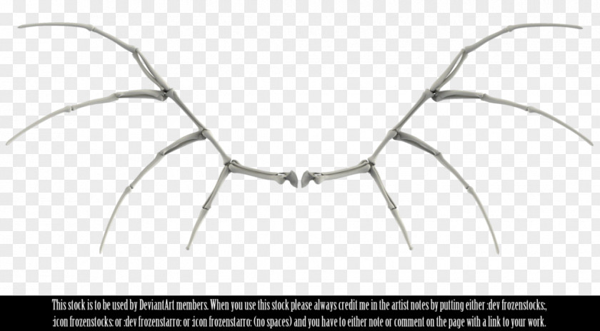 Bones Bone Human Skeleton Skull Wing PNG