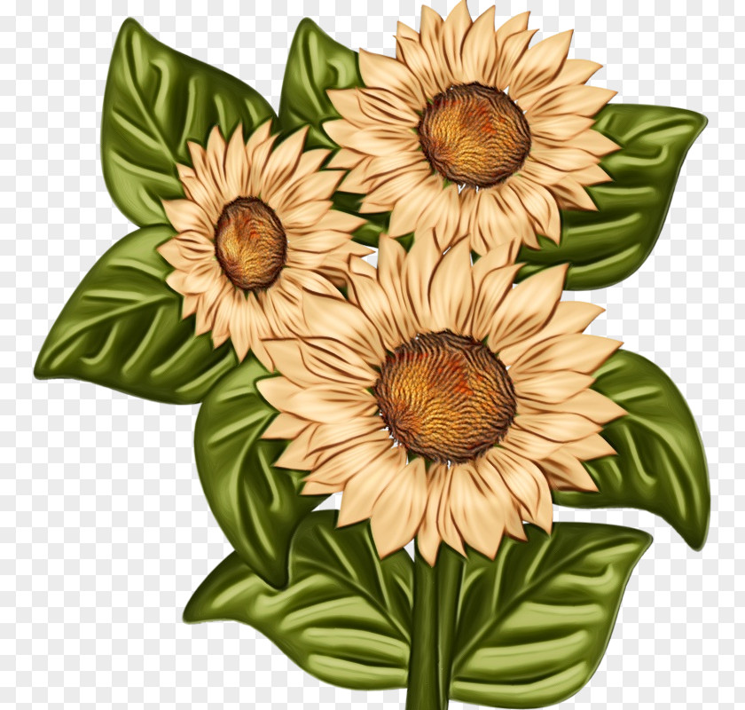 Floral Design PNG