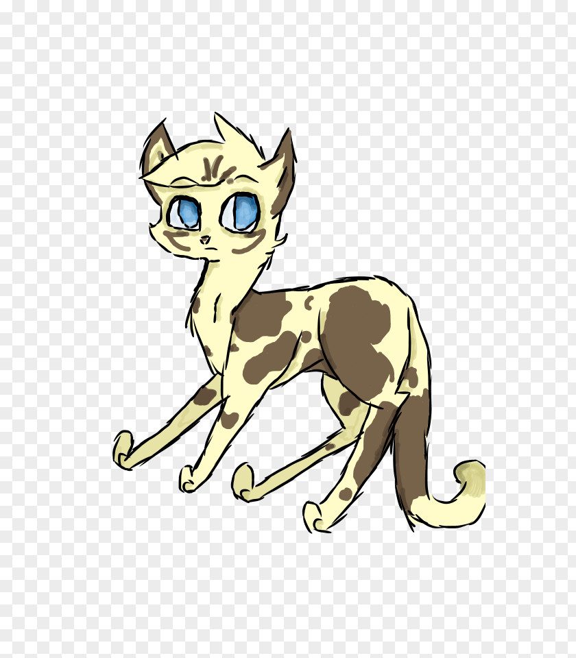 Kitten Whiskers Cat Canidae Horse PNG