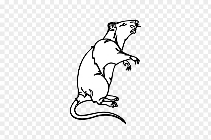 Mouse Clip Art Laboratory Rat Image Drawing PNG
