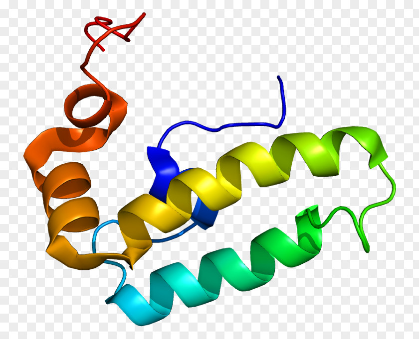 Protein Data Bank Chaperone DnaJ Cell Gene PNG Gene, others clipart PNG