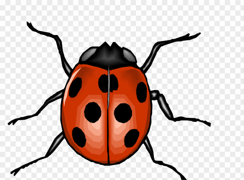 Red Cartoon Ladybug Beetle Clip Art PNG