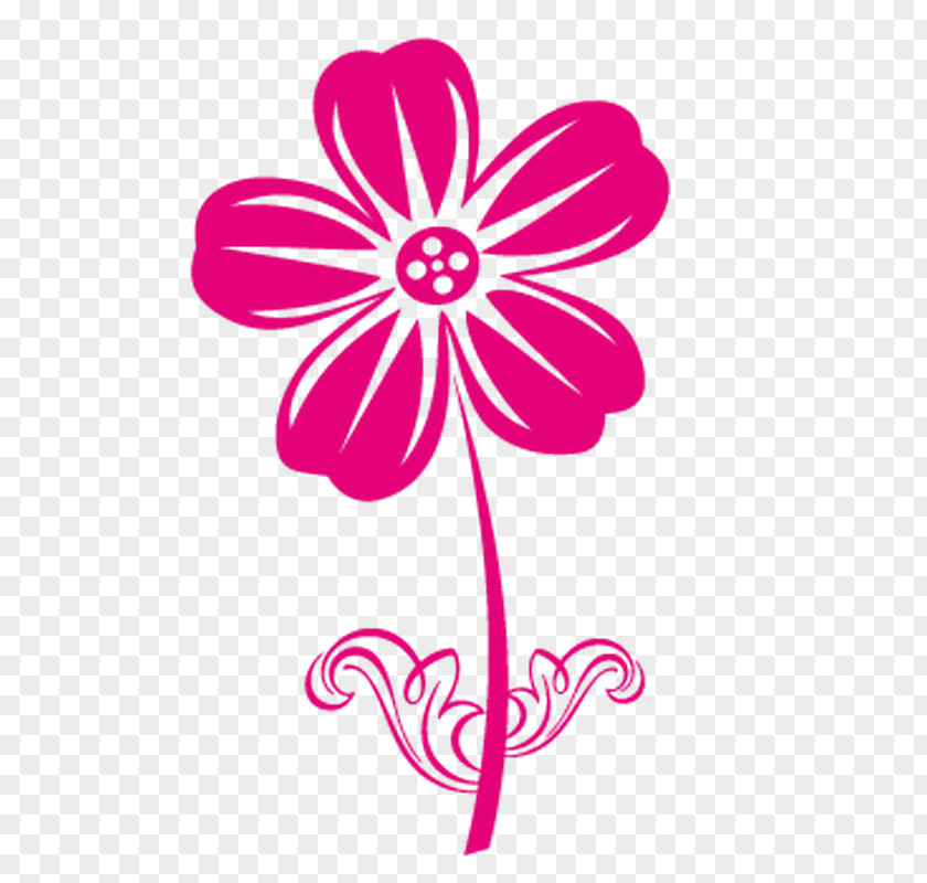 Choix Des Plus Belles Fleurs Petal Cut Flowers L' Erbolario Floral Design PNG