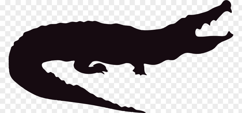 Crocodile Silhouette American Alligator Clip Art PNG