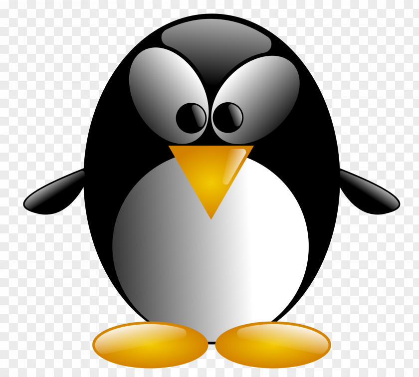 Penguins Little Penguin Bird Clip Art PNG