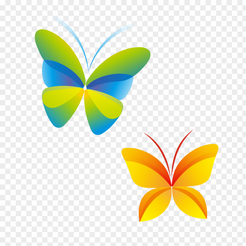 Vector Colorful Butterfly PNG