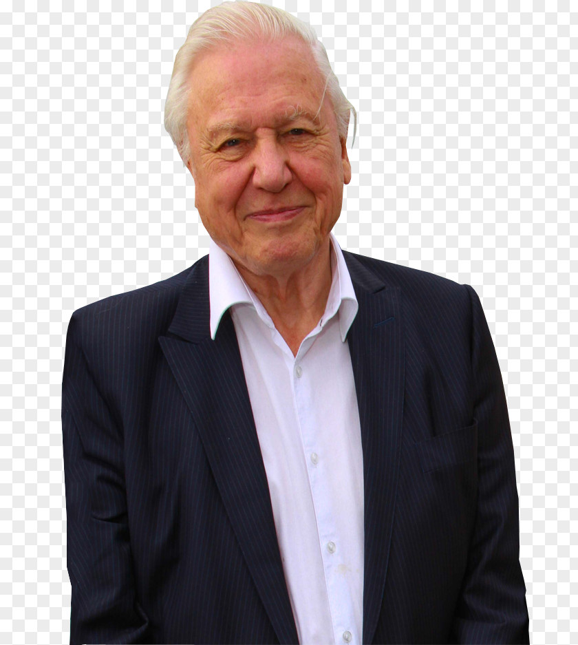 Actor David Attenborough Natural World Television PNG