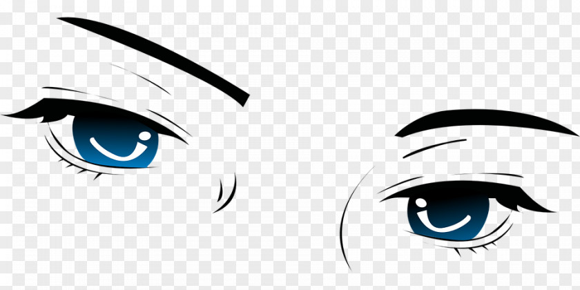 Eye Eyebrow Human Iris PNG