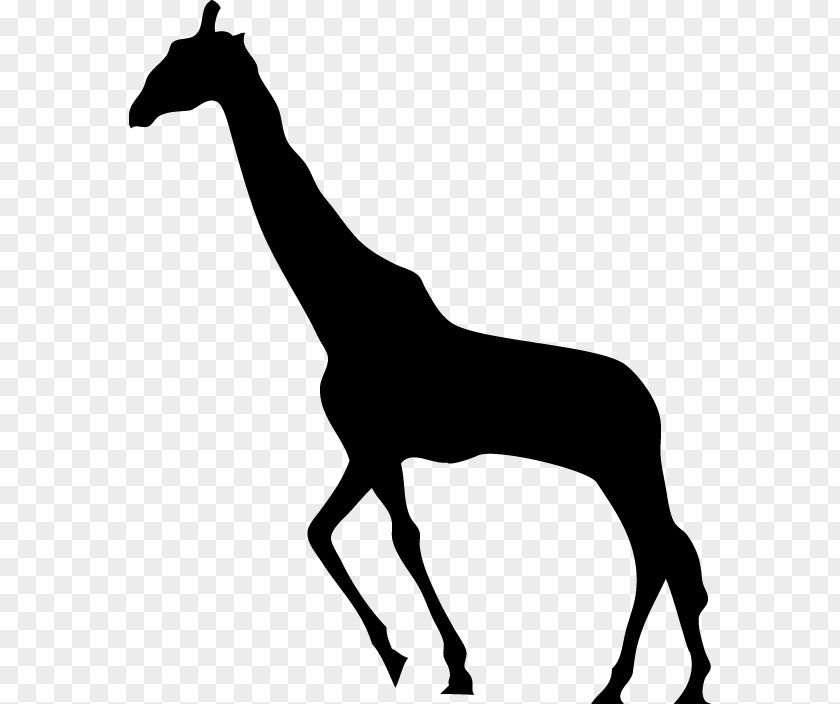 Giraffe Silhouette PNG