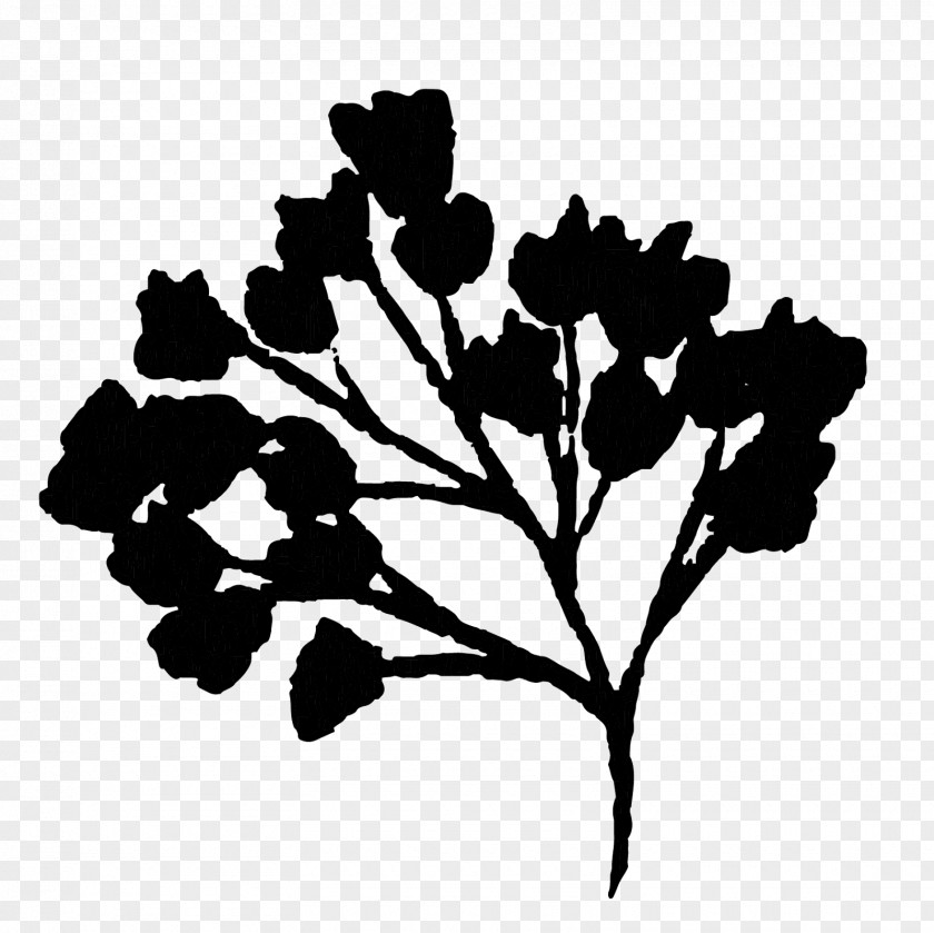 Silhouette Plant Stem Black Leaf Branching PNG