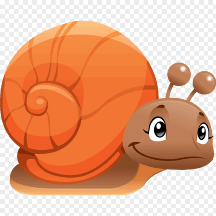 Snail Drawing Animal Painting PNG
