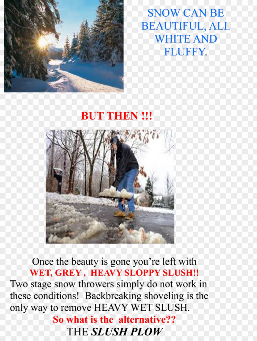 Tree Advertising Winter Ski Sporting Goods PNG