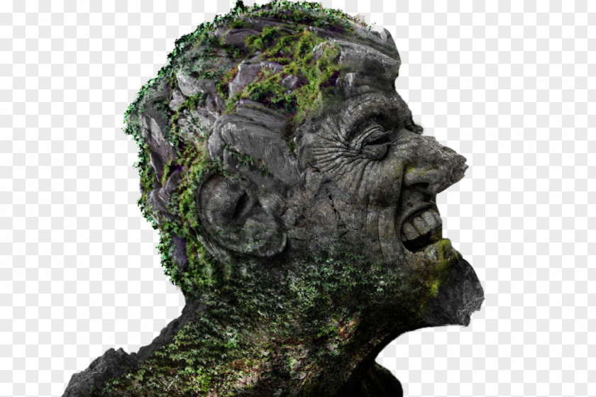 Tree Statue PNG