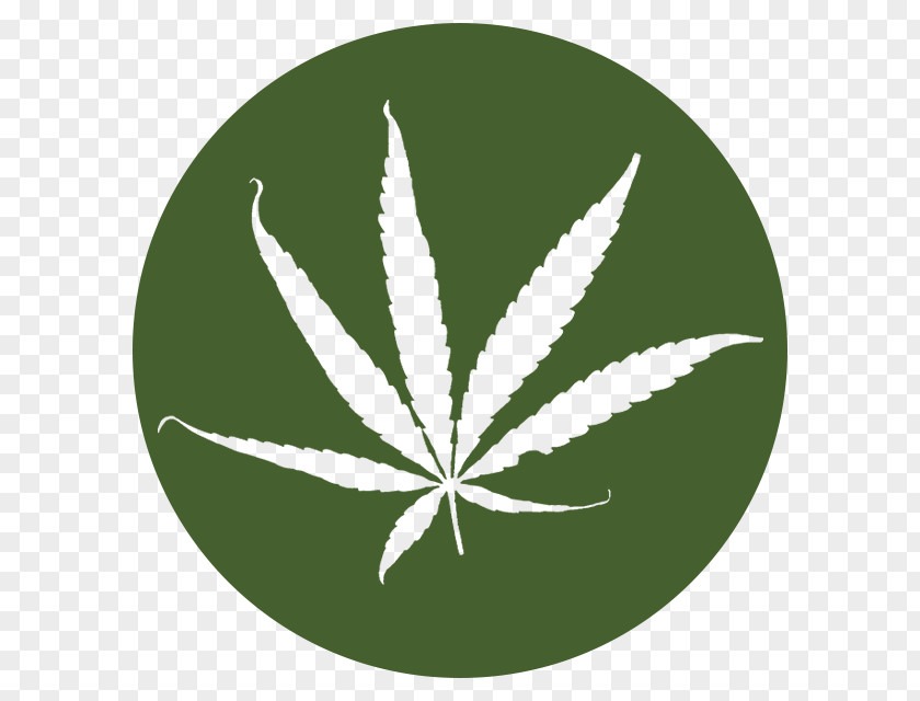 Cannabis Green Hemp Leaf PNG