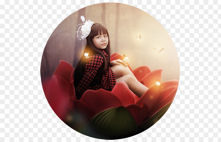 Christmas Ornament PNG