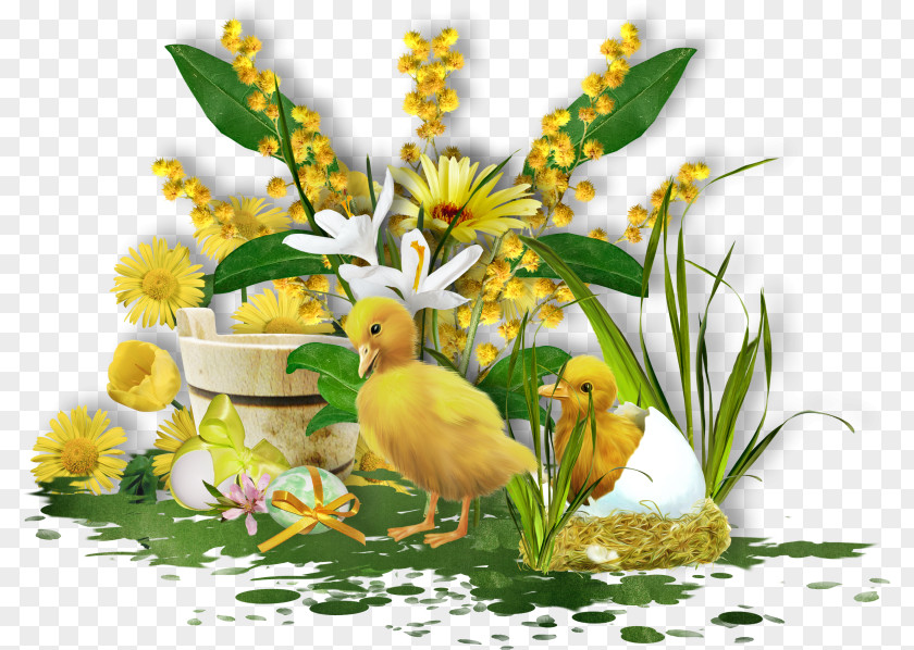 Easter Bunny Egg Flower Floral Design PNG
