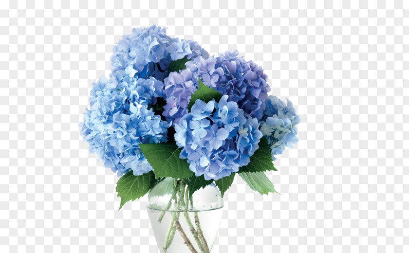 Vase Cut Flowers Hydrangea Blue PNG