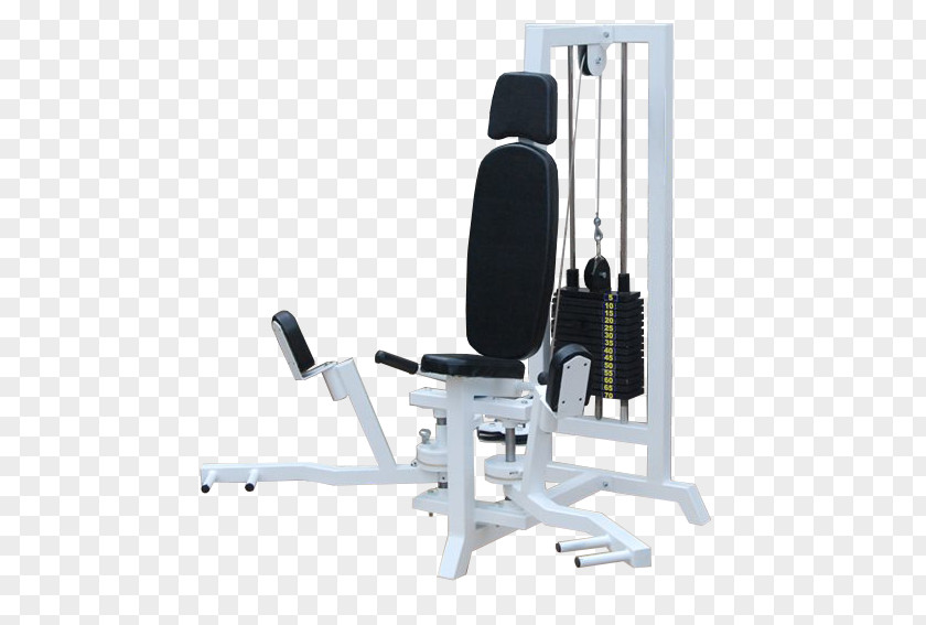 Barbell Dumbbell Exercise Machine Physical Fitness Centre PNG