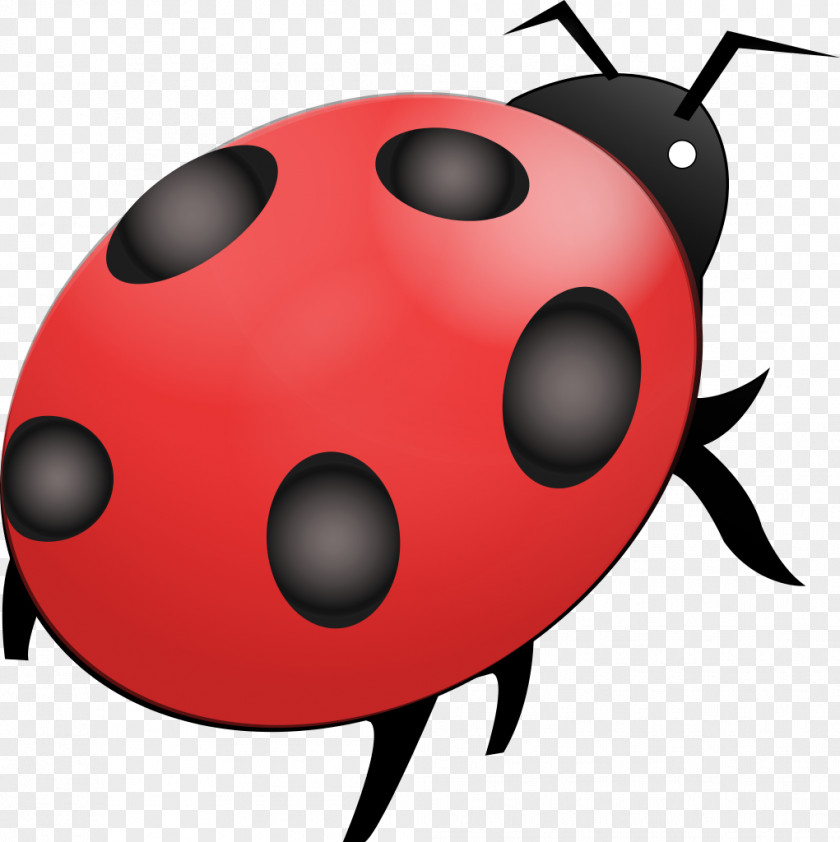 Bugs Insect Nuvola Ladybird Free Software PNG