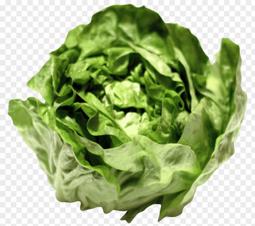 Salad Lettuce Sandwich Growing Caesar Vegetarian Cuisine Greens PNG