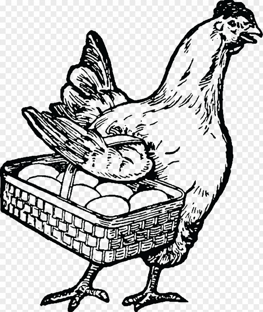 Chicken Clip Art Rooster Image Illustration PNG