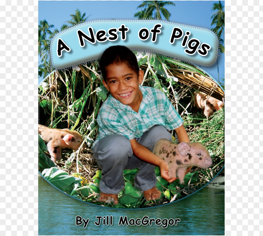 Christiano Calf And Lamb Day: A Story From New Zealand Ei For The Cook Islands Nest Of Pigs: Jill MacGregor PNG