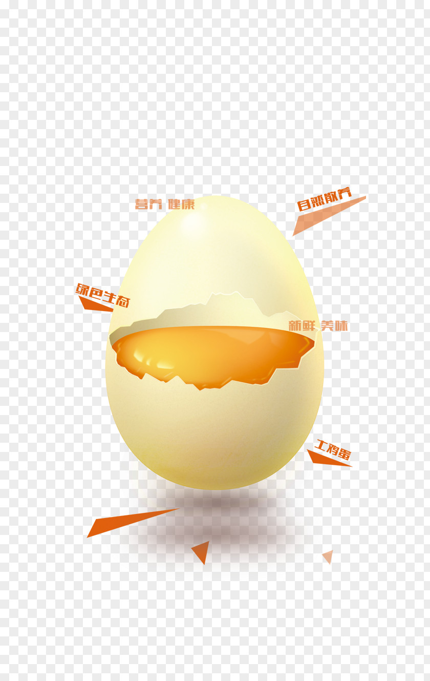 Egg Nutrition Chicken Free Range PNG