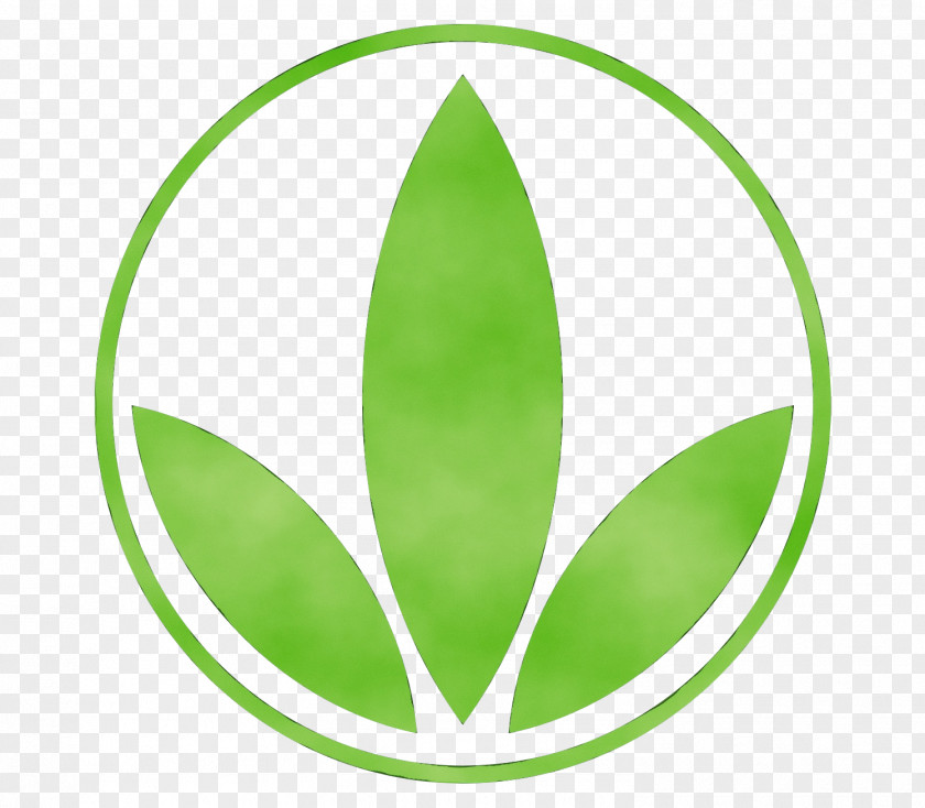 Flower Plant Leaf Green Logo PNG