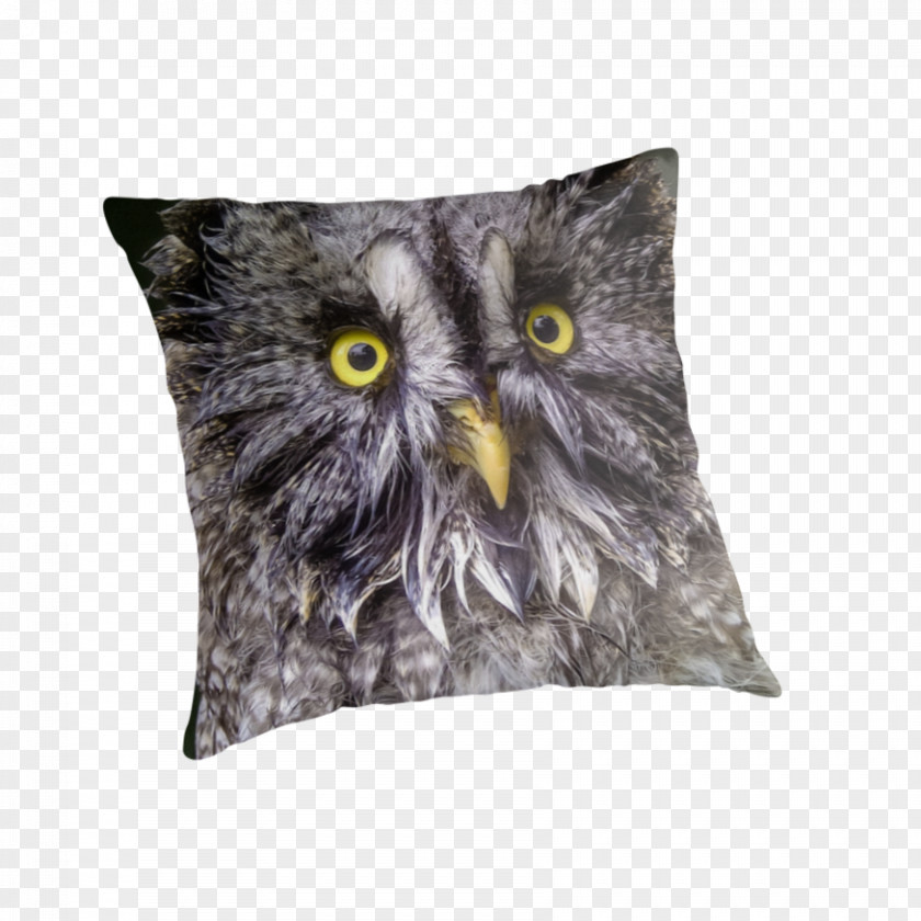 Grey Owl Throw Pillows Cushion Snout PNG