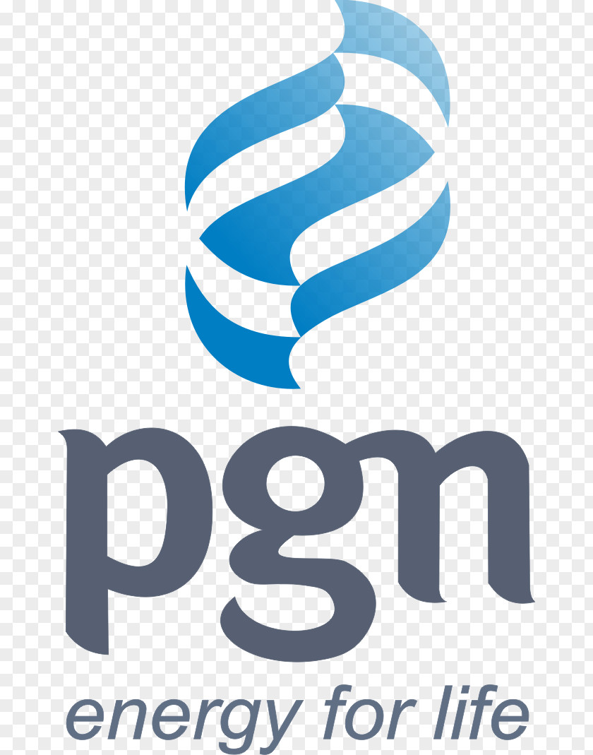 Negara PT Perusahaan Gas Negara, Tbk Pertamina Natural Joint-stock Company PNG